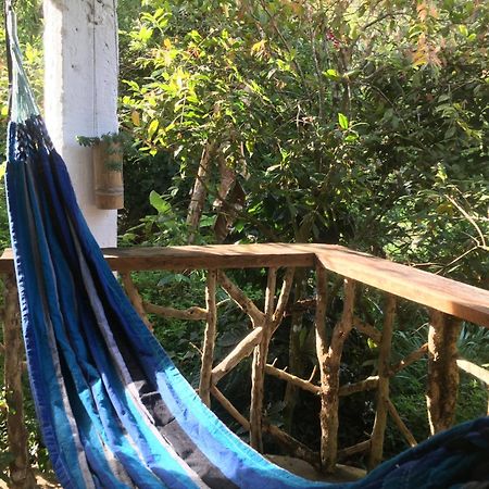Finca Flora Del Rio, Habitacion Las Orquideas Pijao エクステリア 写真
