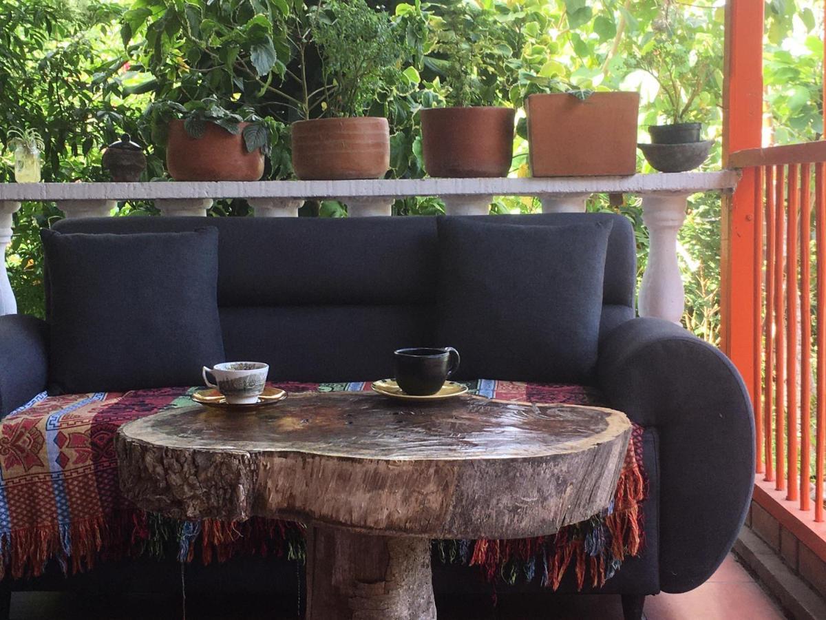 Finca Flora Del Rio, Habitacion Las Orquideas Pijao エクステリア 写真